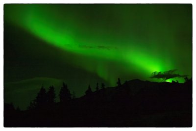 Aurora Borealis (Northern Lights) Snaring River, Jasper National Park