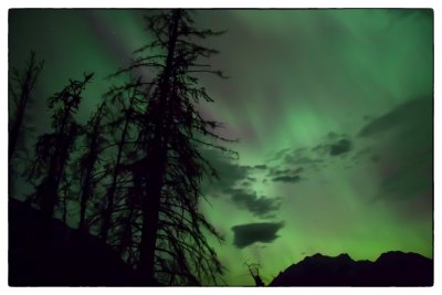 Aurora Borealis (Northern Lights) Snaring River, Jasper National Park