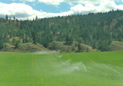 DSC00155 copy.jpg