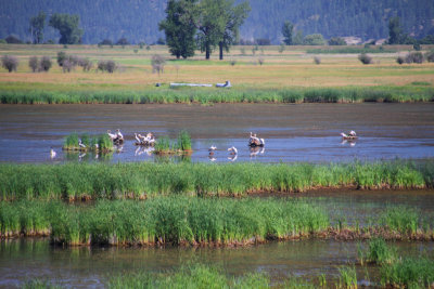 Wildlife Refuge