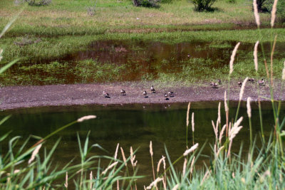 Wildlife Refuge