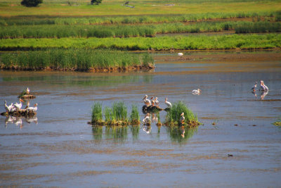 Wildlife Refuge