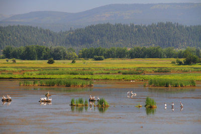 Wildlife Refuge