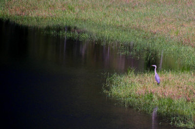 Wildlife Refuge