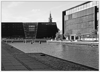 ME3C4919-bw.jpg