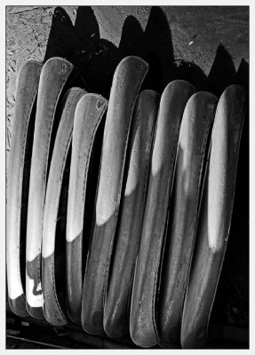 ME3C5198-bw.jpg