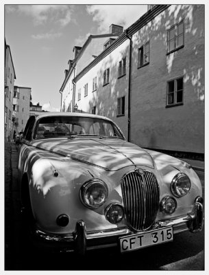 ME3C5254-bw.jpg
