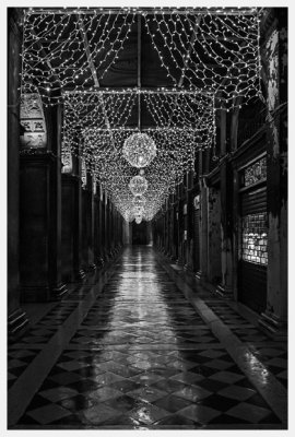 ME3C5667-bw.jpg