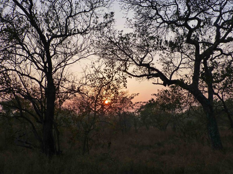 Sunrise in Kruger National Park