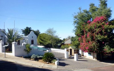 Bougainvillea on Embassy Row in Pretoria