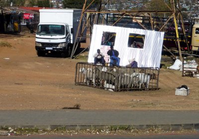 Corrugated Tin for Houses in SOWETO