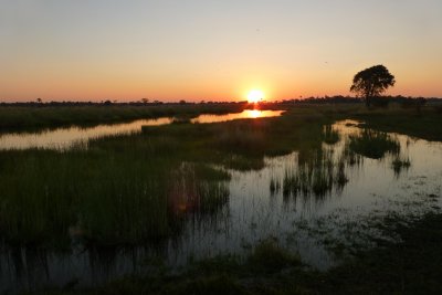Sunset on Okavanga Delta
