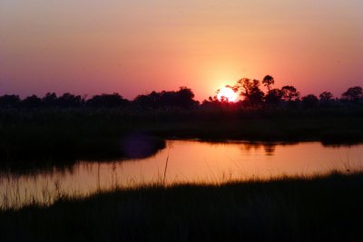 Okavanga Delta Sunset