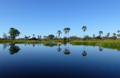 Smooth Pond in Okavanga Delta
