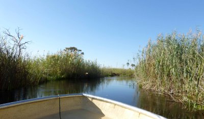 Final Excursion in Okavanga Delta