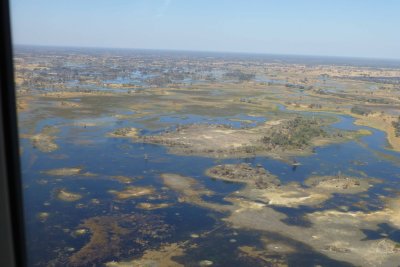 Last Look at Okavanga Delta