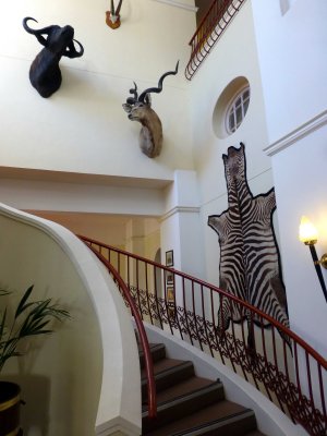 Decor in Victoria Falls Hotel