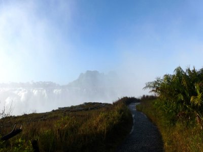 Mists Feel Like a Nonstop Downpour