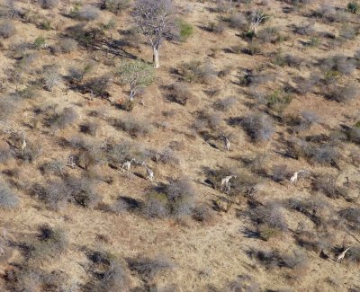 Flying over Victoria Falls National Park