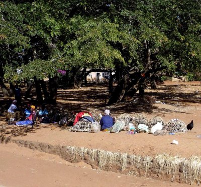Selling Free-range Chickens in Victoria Falls, Zimbabwe