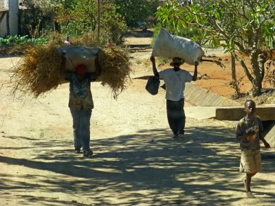 Residential Street in Victoria Falls, Zimbabwe