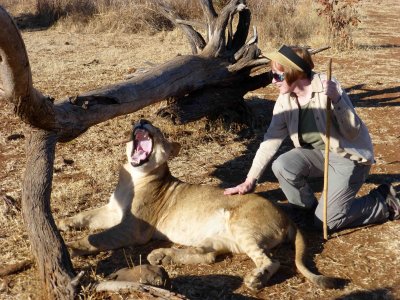 Susan with a Lion