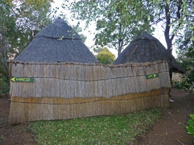 Bathrooms at the Lion Encounter