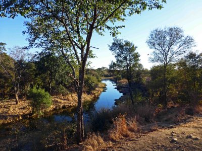 Masuie River at the Elephant Camp