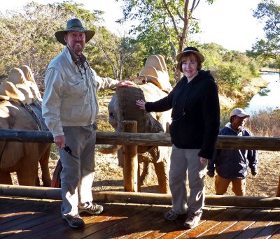 At the Elephant Camp