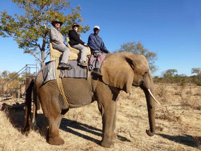 Riding on Coco - 35 yr old Matriarch