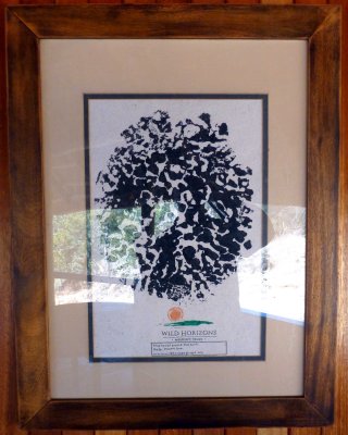 Each Elephant Footprint is Unique