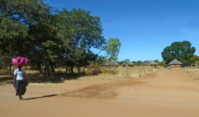 Zimbabwe Village near Victoria Falls