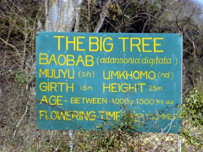 Outside Victoria Falls, Zimbabwe