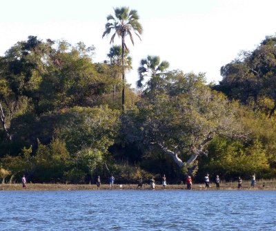 Fishing on the Zimbabwe Side of the Zambezi River