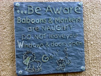 The Usual Warning about Keeping Doors & Windows Closed