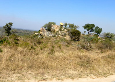Rock Formation in Kruger National Park