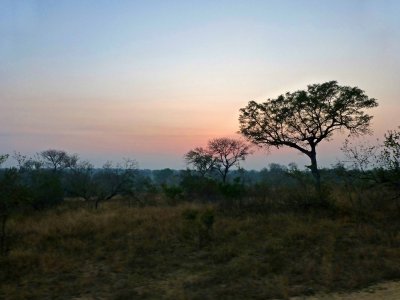 Dawn in Kruger National Park