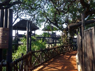 Wildlife Viewing Stands at the Hotel