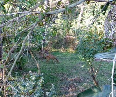 View from Our French Balcony