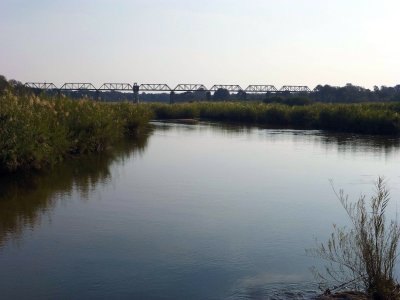 Railroad Bridge Over Sabie River