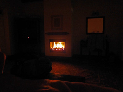 Enjoying the Fireplace after Dinner