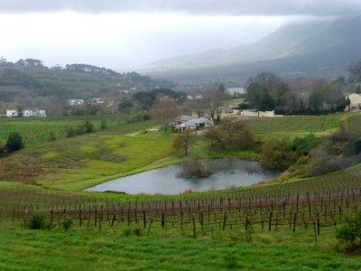 Wine Country, South Africa