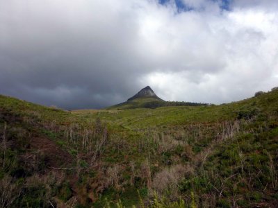 Mountain Scenery in Cape Winelands