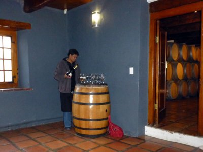 Wine Tasting at Spier Wine Farm