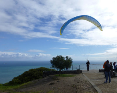 Paragliding from Signal Hill, Cape Town
