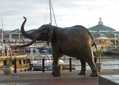 Elephant Statue at V&A Waterfront