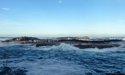 Approaching Seal Island, South Africa