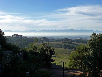 Overlooking Constantia Wine Valley, South Africa