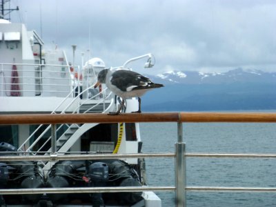 A Visitor onboard the Silver Explorer