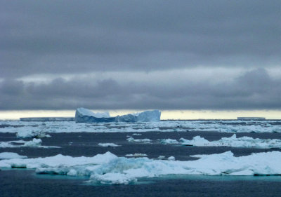 Icebergs in the Antarctic Sound